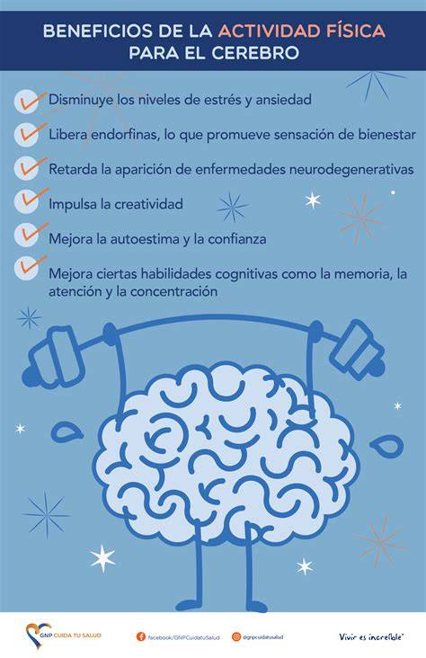 Infografía sobre los beneficios de la patata para la salud digestiva