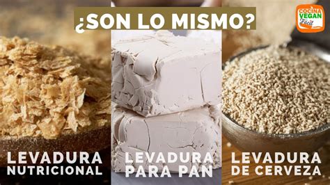 Comparativa entre levadura nutricional y levadura de cerveza