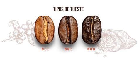 Granos de café con diferentes niveles de tueste