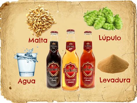Ilustración de los ingredientes de la cerveza: agua, malta, cereales, lúpulo
