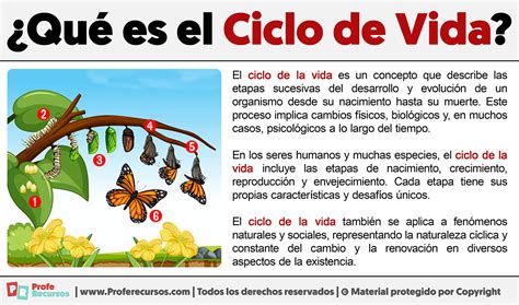 Ciclo de vida de la merluza