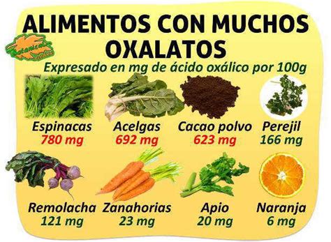 Infografía sobre los oxalatos y la absorción de minerales