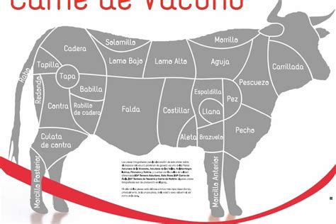 Esquema de las partes del costillar de vacuno