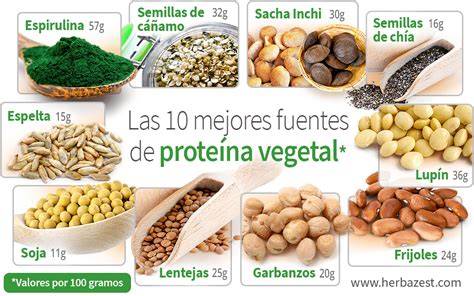 Ejemplos de comidas con proteína en polvo