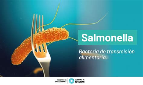 Información sobre brotes de Salmonella