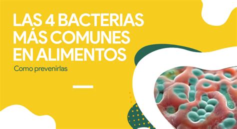 Esquema de las bacterias más comunes en alimentos