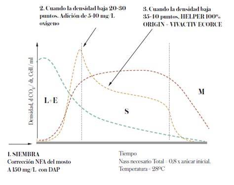 Gráfico de temperatura y densidad durante la fermentación primaria