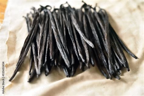 Vainas de vainilla frescas