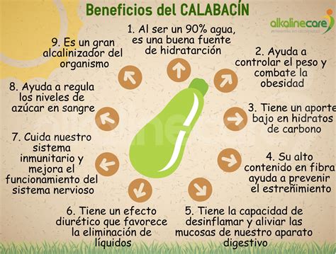 Beneficios nutricionales del calabacín